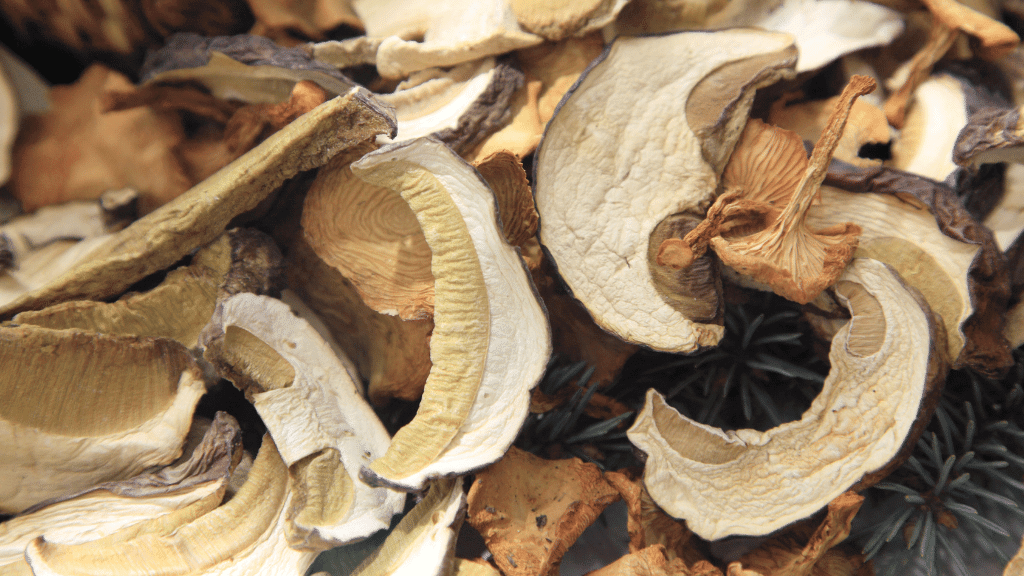 How to Dry Mushrooms The Complete StepbyStep Guide